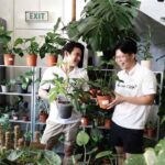 Plants : మొక్కలతో ముచ్చట్లు.. వాటి ఆరోగ్యానికి మేలు..