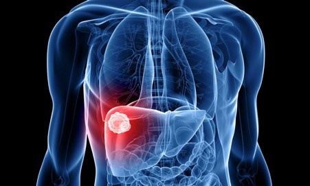 Liver Cells : ట్యూమర్‌ రాకుండా కాపాడే లివర్ సెల్స్..