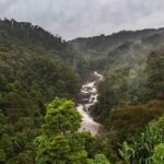 Mountains : 5.2 మిలియన్ హెక్టార్ల అడవులపై టెక్నాలజీ ఎఫెక్ట్..
