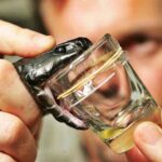 Snake venom : పాము విషమే ఔషదం.. ఆ వ్యాధుల కోసం..