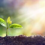 Artificial photosynthesis:-కృత్రిమంగా ఫోటోసింథసిస్.. మొక్కల పెంపకంలో..