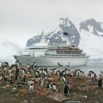 Antarctica:- అంటార్కిటికాకు తోడుగా ఇండియా.. వాటిని కాపాడడానికి..