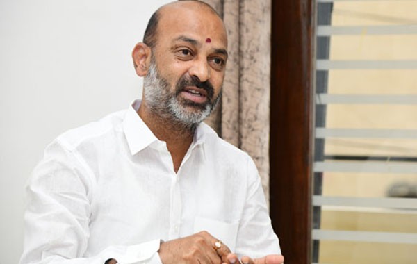 Hair Growth Tips : బట్టతలపై జుట్టు వచ్చేలా చేసే మొక్క ఇదే!