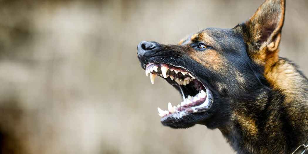 Google:- గూగుల్ ఉద్యోగులకు మరో షాక్.. అవన్నీ కట్..