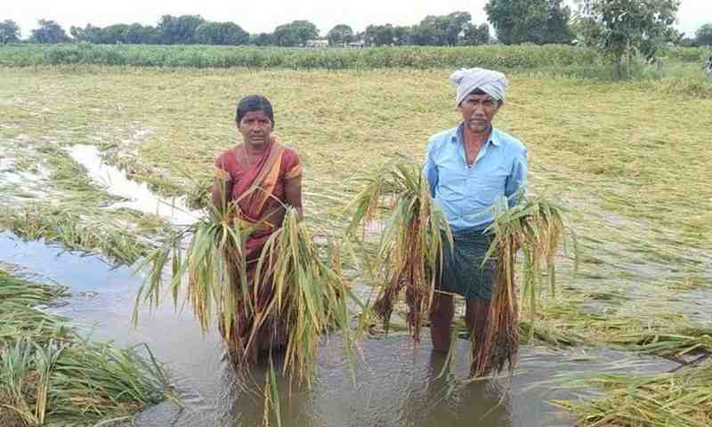 Jagan : ఆ పులితో చంద్రబాబుకు పోలిక.. జగన్ చెప్పిన పొలిటికల్ పంచతంత్ర కథ..!