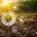 Soil Health:- మట్టి ఆరోగ్యం తెలుసుకోవడానికి ఆడియో టెక్నాలజీ…