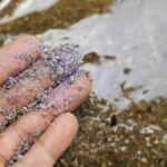 Microplastics Effects : మైక్రోప్లాస్టిక్స్ అదుపు కోసం కొత్త సిస్టమ్..
