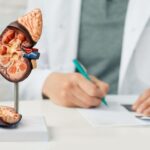 Artificial Kidney :కృత్రిమంగా కిడ్నీ తయారీ.. దానికోసమే..
