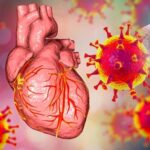 Heart Attack : కోవిడ్ వల్లే గుండెపోట్లు..? కేంద్రం క్లారిటీ..!