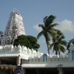Sri Anjaneya:- ఆంజనేయుడ్ని మహిళలు పూజించకూడదా…