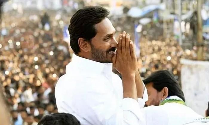 Allergies : ఎలర్జీ ఉన్నవారు కూడా తినగలిగే ఎగ్.. టెక్నాలజీతో తయారీ..