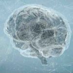 Semantic Decoder:- మనిషి ఆలోచనలను డీకోడ్ చేసే టెక్నాలజీ.. హడావిడి లేకుండా..