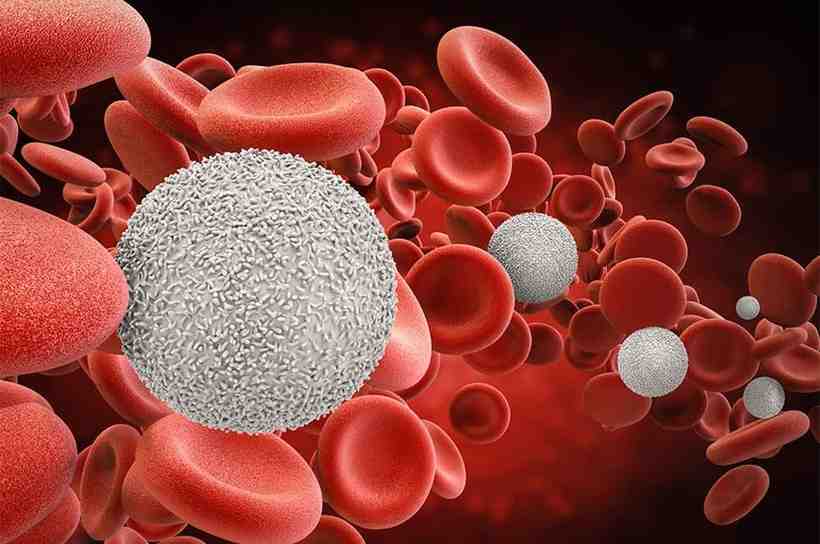 CAR-T Therapy: బ్లడ్ క్యాన్సర్ నుండి బయటపడేసే కార్-టీ థెరపీ..