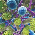 Anticancer therapies:- ట్యూమర్‌లోని బ్యాక్టీరియాతో మెరుగైన థెరపీలు…