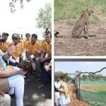 Cheetahs: చీతాలు ఎందుకు చనిపోతున్నాయ్? ఇదేనా కారణం?