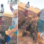 YSRCP: జుట్టు పట్టి కొట్టి.. కాళ్లతో తన్ని.. మహిళపై వైసీపీ నేత అరాచకం..