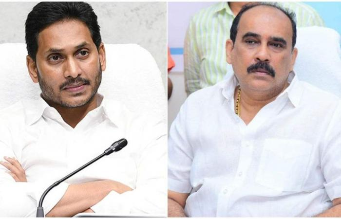 NTR 30 : ఎన్టీఆర్ 30లో బుల్లి తెర బ్యూటీ చైత్రా రాయ్‌