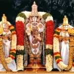 Tirumala Sri Balaji Idol :- తిరుమల శ్రీవారి విగ్రహం వెనుక దాగి ఉన్న రహస్యం