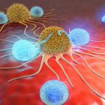Cancer Cells : క్యాన్సర్ సెల్స్ వ్యాప్తిని తగ్గించే ప్రొటీన్..