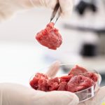 Meat Cultivation : మాంసం పంటకు పెరుగుతున్న క్రేజ్..