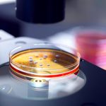 Superbug Bacteria : సూపర్‌బగ్ బ్యాక్టీరియా.. ఏఐ సాయంతో పరిష్కారం..