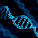 Human DNA : సైన్స్‌కు అడ్డుపడుతున్న మనుషుల డీఎన్ఏ..