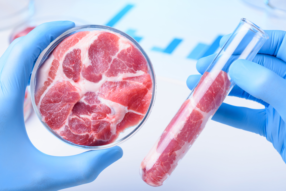 Treatment Of Cancer : సెల్స్ మరణంపై పరిశోధనలు.. క్యాన్సర్‌కు చికిత్స కోసం..
