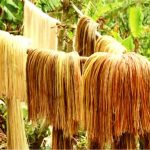 Banana Fibre: ప్లాస్టిక్స్‌కు కొత్త ప్రత్యామ్నాయం బనానా ఫైబర్..
