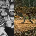Tirumala : అలిపిరి నడకమార్గంలో బాలుడిని ఎత్తుకెళ్లిన చిరుత .. ఆ తర్వాత ఏం జరిగిందంటే..?