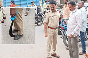 Telangana : చల్లని కబురు.. తెలంగాణలో విస్తరించిన రుతుపవనాలు..
