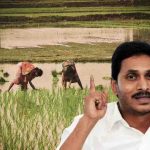 AP: భూమే బంగారమాయెనే..