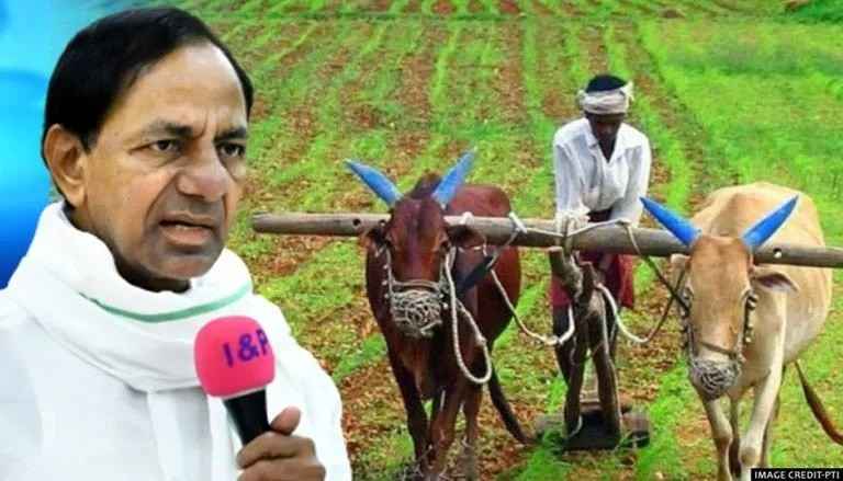 A setback for Pakistan: ఆటోమొబైల్ రంగంలో పాకిస్థాన్‌కు ఎదురుదెబ్బ.. టయోటా వల్లే..