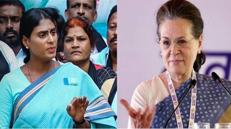 Cricketer Become  Bus Driver : ఒకప్పుడు క్రేజ్ ఉన్న క్రికెటర్లు.. ఇప్పుడు బస్ డ్రైవర్లు..