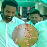 Buggana Rajendra Nath : మంత్రిపై తేనెటీగల దాడి.. ఐదుగురి పరిస్థితి విషమం..