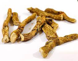 Benefits Of Vasakommu : వసకొమ్ముతో ఏడు లాభాలు