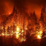 Health problems due to fire : కార్చిచ్చు వల్ల ఆరోగ్య సమస్యలు.. అమెరికాలోనే ఎక్కువ..!