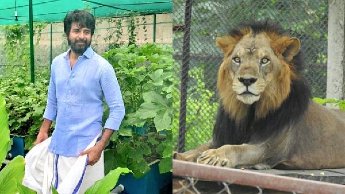 Chandrababu: కరకట్ట ఇల్లు జప్తు.. చంద్రబాబుకు బిగ్ షాక్.. ఏసీబీ కోర్టు సంచలనం..
