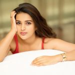 Nidhi Aggarwal : ఆఫర్ల కోసం హాట్ బ్యూటీ పూజలు..