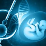 Synthetic Embryo : సింథటిక్ ఎంబ్రియో ప్రయోగాలు సక్సెస్.. కానీ..