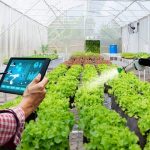 Technology To Help Farmers: రైతులకు సాయంగా టెక్నాలజీ.. వాటిపైనే ఆధారం..