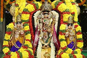Etela Rajender: ఈటలకు 'వై ప్లస్' సెక్యూరిటీ.. కౌశిక్‌రెడ్డికి బిగ్ షాక్..