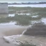 Warangal Floods: భద్రకాళి చెరువుకు గండి.. పోతన నగర్ వైపు తెగిన గట్టు..