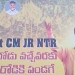 NTR : టార్గెట్ లోకేష్.. జూనియర్ ఎన్టీఆర్ ఫ్లెక్సీల కలకలం..
