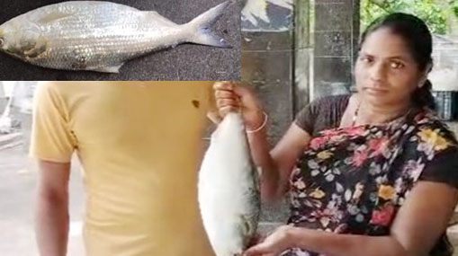 Narasaraopeta : వైసీపీ, టీడీపీ వార్.. నరసరావుపేటలో 144 సెక్షన్ ..