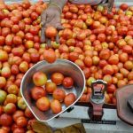 Tomato latest price: టమా’ఠా’.. పైపైకి ధర..