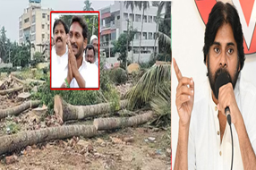 Pawan Kalyan : 'పుష్ప విలాపం'.. జగన్ పర్యటనపై పవన్ ఫైర్..