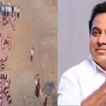KTR Birthday: కేటీఆర్ పుట్టిన రోజు వేడుకులు.. బీఆర్ఎస్ నేతల అత్యుత్సాహం.. విద్యార్థులతో విన్యాసాలు..