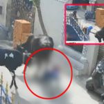 Chennai Cow Attack  : చిన్నారిని దారుణంగా కుమ్మేసిన ఆవులు.. వైరల్ వీడియో..