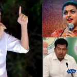 YCP leaders vs pawan kalyan : సోనియాకే జగన్ భయపడలేదు.. పవన్ ఆటలో అరటిపండు.. వైసీపీ ఫైర్