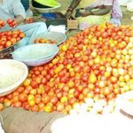 Latest Tomato Price : గుడ్ న్యూస్ .. టమాటా ధర తగ్గింది.. రైతుబజార్లలో ఎంతో తెలుసా?